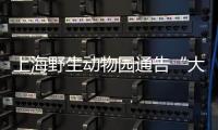 上海野生动物园通告“大象斗殴”�：对相关象已采取保护性举措
