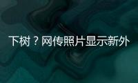 下树？网传照片显示新外援萨拉萨尔身穿亚泰训练服，抵达训练基地