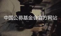 中国公募基金会官方网站观察：在难开“门”的情况下关上“窗”