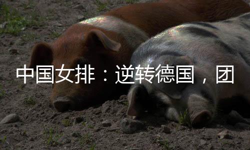 本届世界女排联赛中