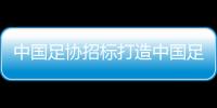 中国足协招标打造中国足球行业大模型，投标限价1068万元
