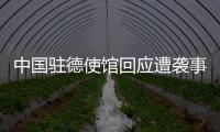 中国驻德使馆回应遭袭事件

：无伤亡 嫌疑人被当场抓获