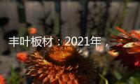 丰叶板材
：2021年	，我们想要这样!
