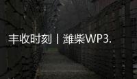 丰收时刻丨潍柴WP3.6N勇当先
，油菜丰收捷报传