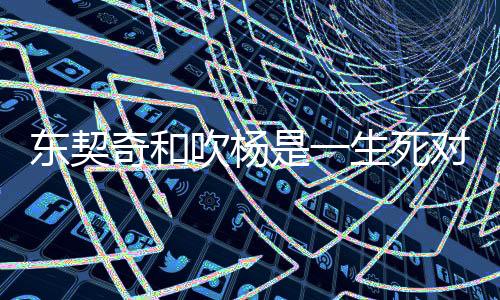 东契奇率独行侠打入总决赛