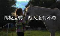 快排公司十年历程，霸屏兔 seo 的崛起与坚守