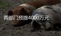 两部门预拨4000万元中央自然灾害救灾资金，支持琼粤桂防汛防台风