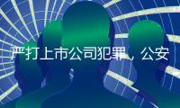 严打上市公司犯罪	，公安部公布5起典型案例
