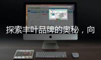 探索丰叶品牌的奥秘�	，向专业致敬