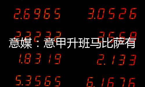随队获得2次意甲冠军