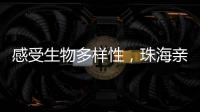 感受生物多样性，珠海亲子家庭走进植物与昆虫的奇妙世界