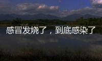 感冒发烧了，到底感染了啥
？