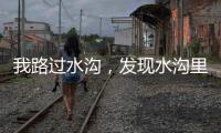 我路过水沟�，发现水沟里有两个年轻女子
，水沟旁边站着一个小伙子