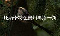 托斯卡纳在贵州再添一新成员
，队伍正在日益壮大
