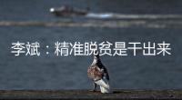 李斌
：精准脱贫是干出来的