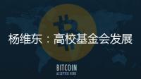 杨维东：高校基金会发展需要超越简单的筹资概念