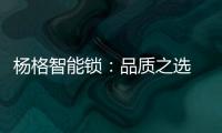 杨格智能锁	：品质之选 腾讯QQfamily智能门锁独家供应商