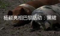 杨颖亮相巴黎活动：黑裙卷发好贵气�，生图好美！