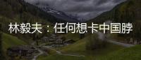 林毅夫：任何想卡中国脖子的做法，只会加速中国进步