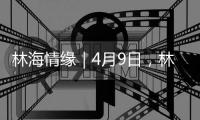 林海情缘｜4月9日，林芝桃花节米林分会场活动不见不散