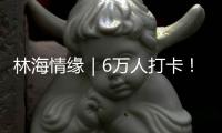 林海情缘｜6万人打卡！米林桃花旅游文化活动“火”了