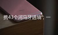 携43个河马牙进境，一男子在拱北口岸被查