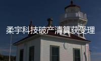 柔宇科技破产清算获受理�，职工薪资或优先清偿
