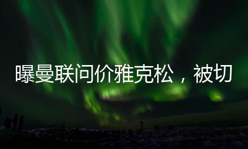 他两个赛季81场比赛打入30球