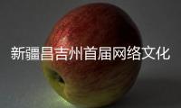 新疆昌吉州首届网络文化节开幕