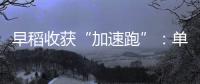 早稻收获“加速跑”：单产提升行动显成效 丰收基础稳