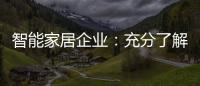 智能家居企业	：充分了解消费需求 占领市场