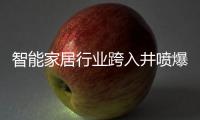 智能家居行业跨入井喷爆发期，TCL智能门锁抢夺先机