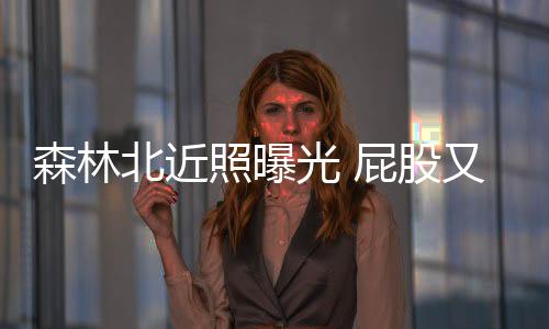 森林仅供参考鼻孔朝天