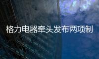 格力电器牵头发布两项制冷压缩机国际标准 董明珠：消费者的需要才是真正的标准
