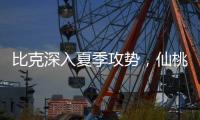 比克深入夏季攻势	，仙桃市场开门红