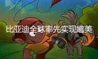 比亚迪全球率先实现媲美L4级智能泊车	
，承诺中国市场全面兜底