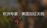 欧洲专家：美国加征关税将伤及自身 贸易战没有赢家