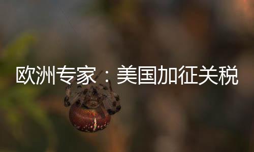 美国总统特朗普12日宣布