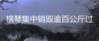 横琴集中销毁逾百公斤过期药品，守护居民食药安全