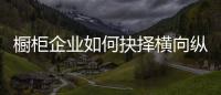 橱柜企业如何抉择横向纵向发展？