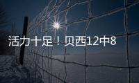 快排公司十年历程，霸屏兔 seo 的崛起与坚守