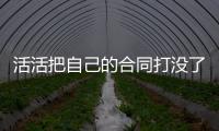快排公司十年历程，霸屏兔 seo 的崛起与坚守