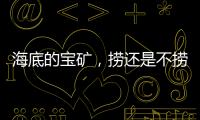 海底的宝矿	，捞还是不捞？｜世界海洋日