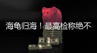 海龟归海
！最高检称绝不放纵破坏资源环境非法行为