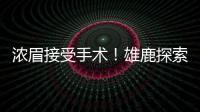 浓眉接受手术！雄鹿探索签换库明加�，瓦兰首度发声，约基奇新决定