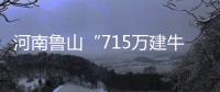 河南鲁山“715万建牛郎织女雕塑”调查两年仍无结论？市纪检委：还在调查，涉及保密