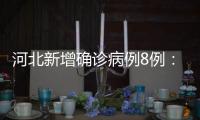 河北新增确诊病例8例：石家庄市4例、辛集市4例