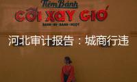 河北审计报告：城商行违规放贷406亿�，344辆公务用车被违规租赁