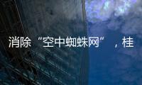 消除“空中蜘蛛网”
，桂山镇整治“头顶难题”见成效