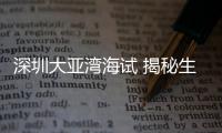 快排公司十年历程，霸屏兔 seo 的崛起与坚守